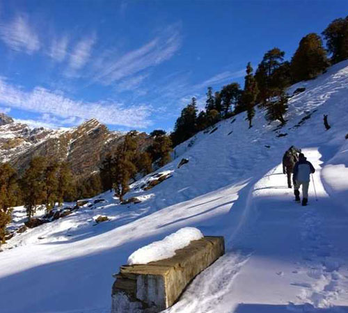 auli travel packages