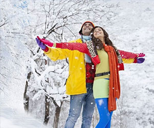 himachal honeymoon tour packages  